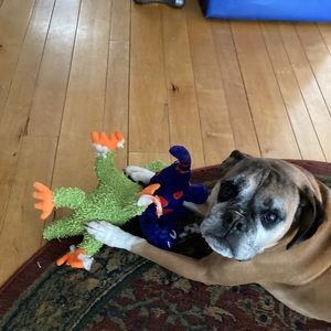 Meet your Posher, Andy